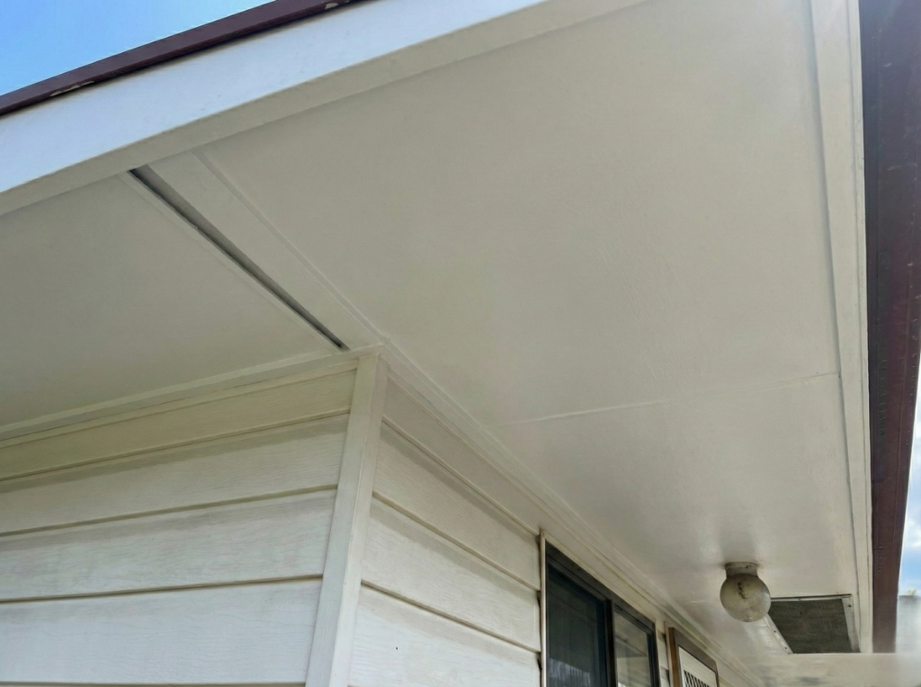 Clean eaves after soft washing