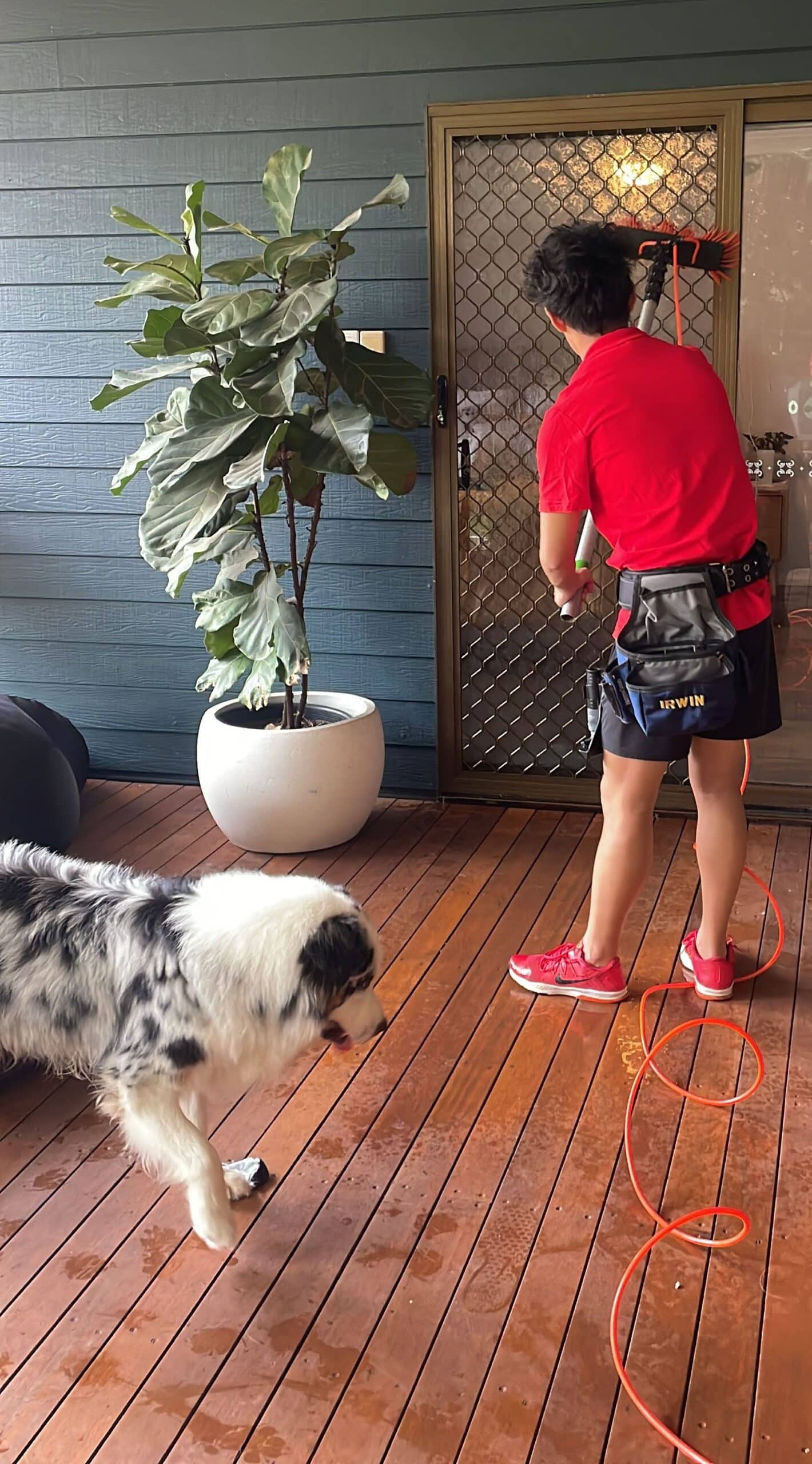 Expert Window Cleaning in Brisbane: Sparkle's Superior Service 