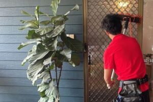 Technician meticulously cleaning a fly screen at a home