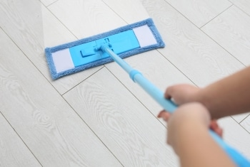 Sparkle Window's Mopping for Spotless Floors