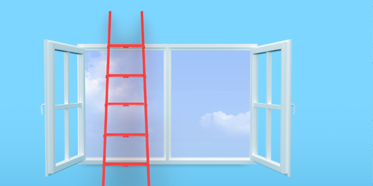 Choosing the Right Ladder for Window Cleaning