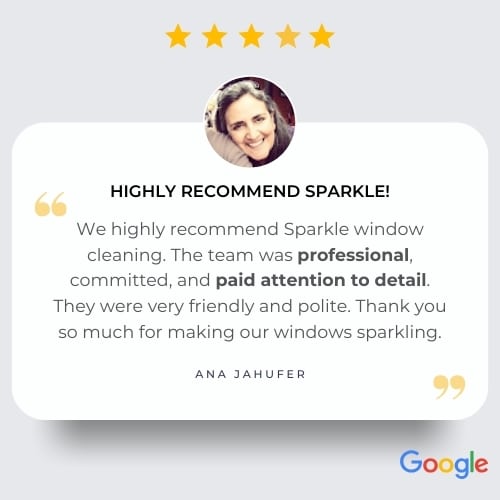 window cleaning review (3)