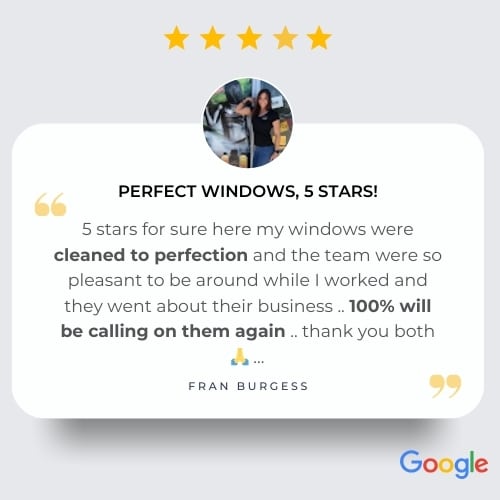 window cleaning review (6)